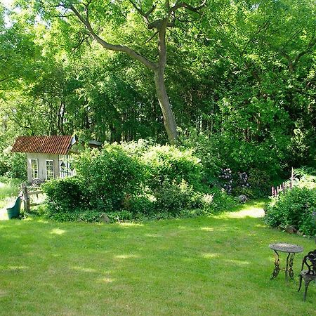 Appartement Alte Schule Osteroden à Merzen Extérieur photo