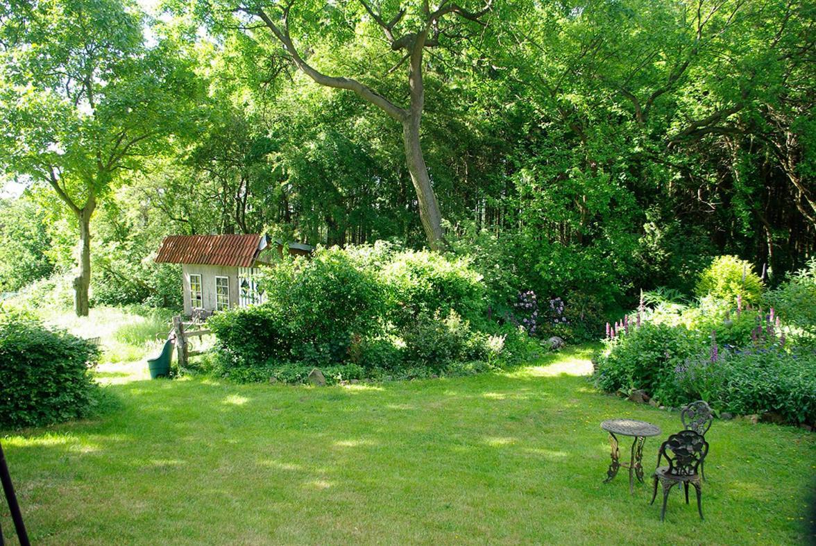 Appartement Alte Schule Osteroden à Merzen Extérieur photo